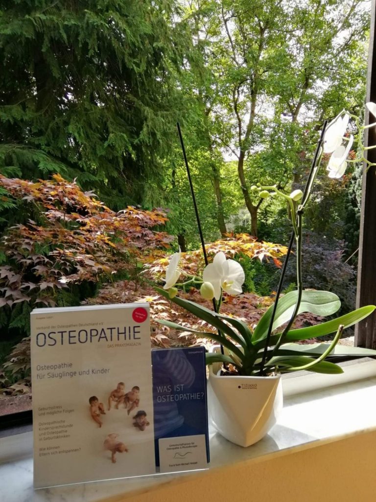 Blick aus dem Fenster mit Sicht auf Tannen und Laubbäume; auf der Fensterbank im Vordergrund stehen Informationsbroschüren zur Osteopathie und eine Orchidee.